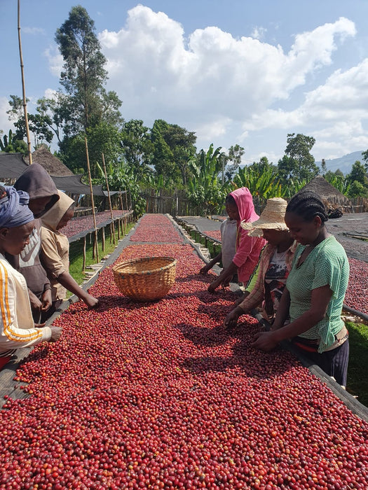 Ethiopian Natural Kokose